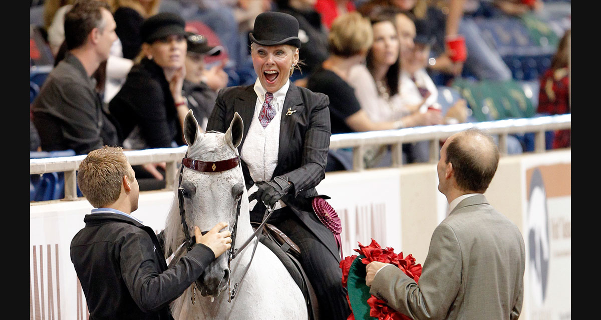 Saddle seat rider celebrating a championship win on a gray horse