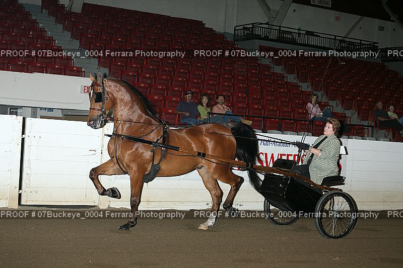 Proof Number 07Buckeye_0004