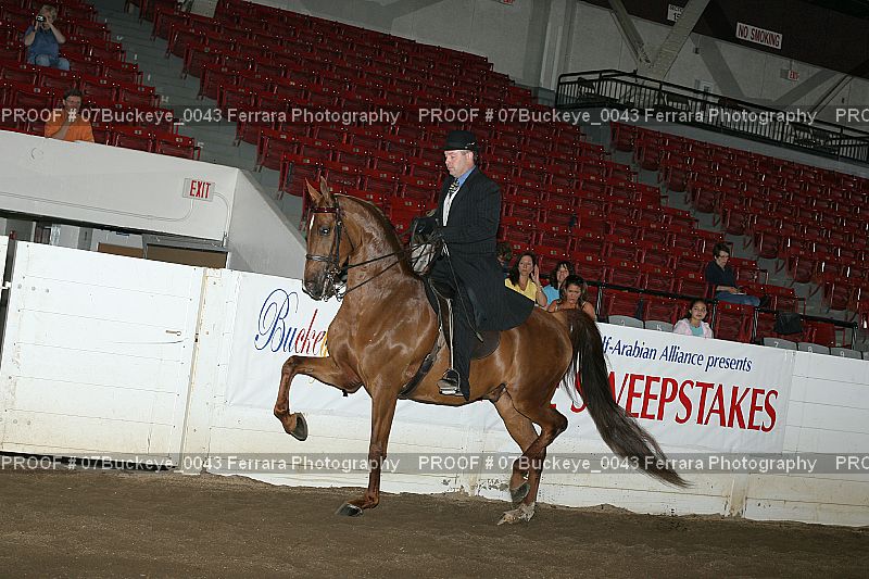 Proof Number 07Buckeye_0043