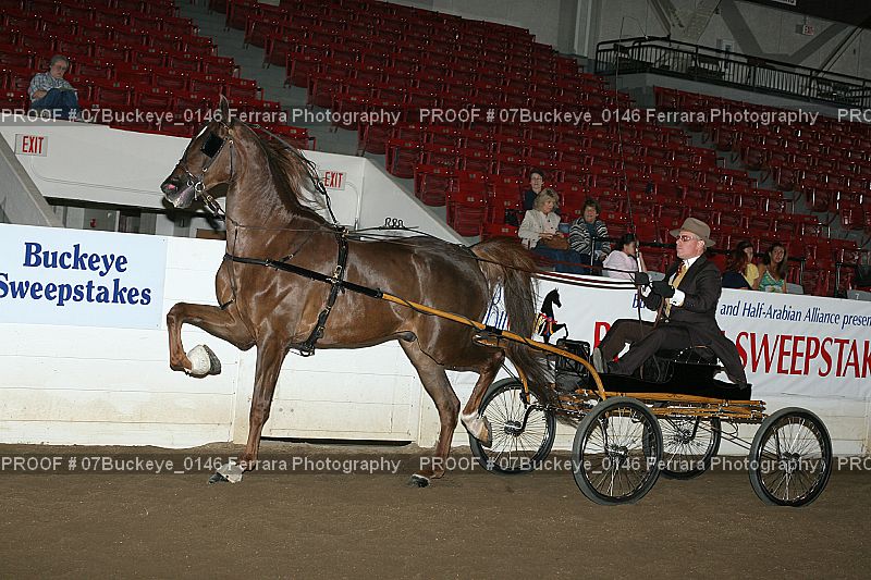 Proof Number 07Buckeye_0146