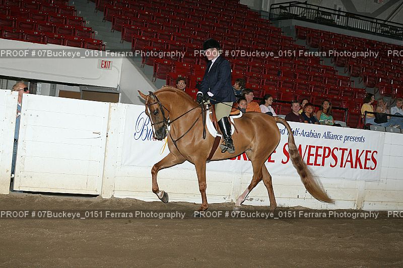 Proof Number 07Buckeye_0151
