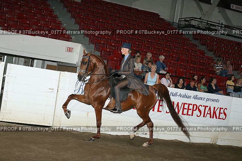 Proof Number 07Buckeye_0177
