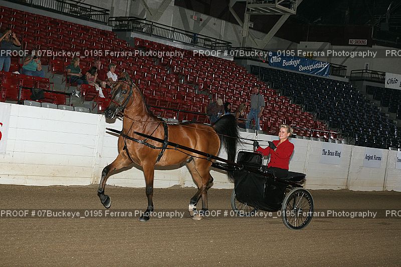 Proof Number 07Buckeye_0195