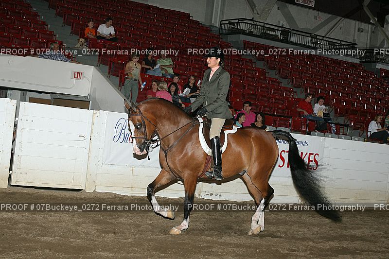 Proof Number 07Buckeye_0272