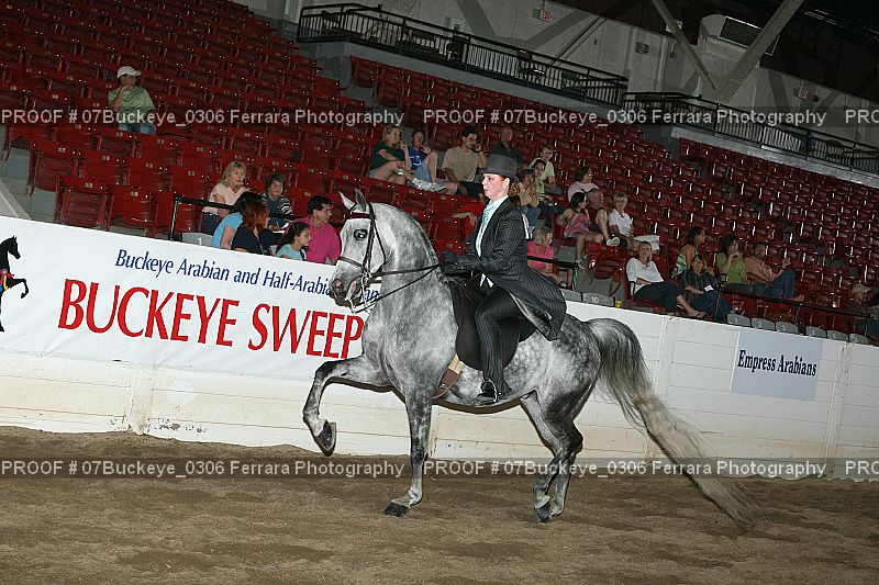 Proof Number 07Buckeye_0306