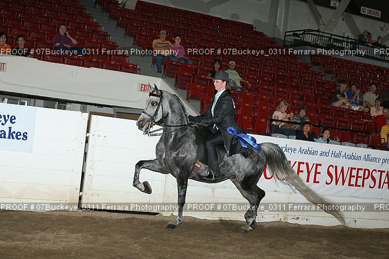 Proof Number 07Buckeye_0311
