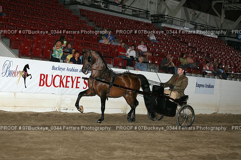 Proof Number 07Buckeye_0344