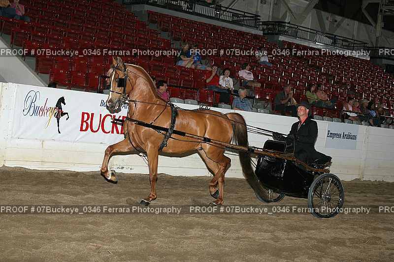 Proof Number 07Buckeye_0346