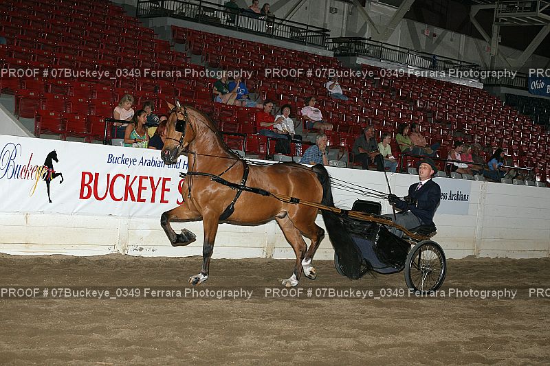 Proof Number 07Buckeye_0349