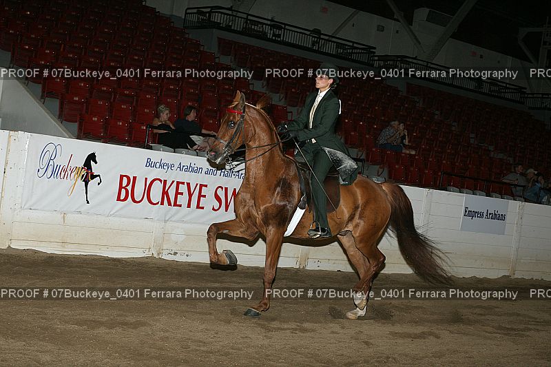 Proof Number 07Buckeye_0401