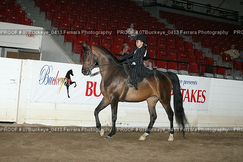 Proof Number 07Buckeye_0413