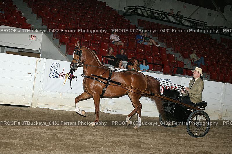 Proof Number 07Buckeye_0432