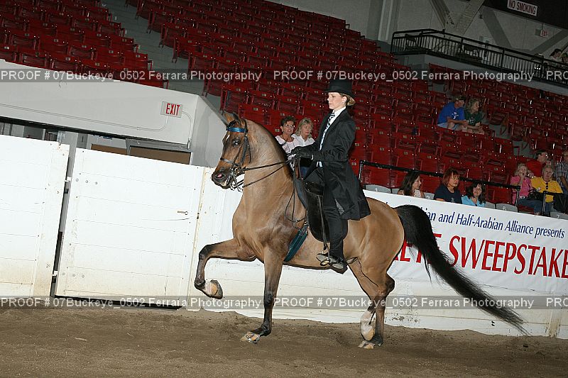 Proof Number 07Buckeye_0502