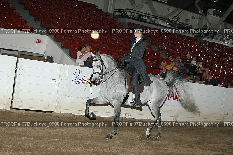 Proof Number 07Buckeye_0508