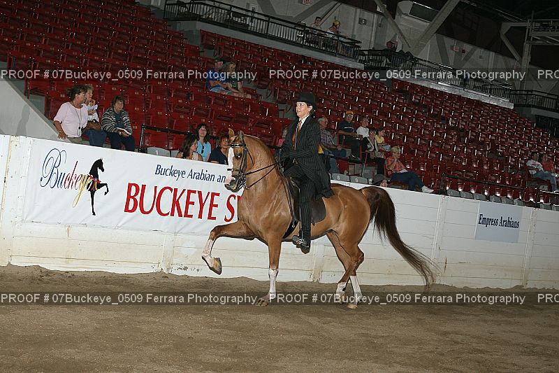 Proof Number 07Buckeye_0509