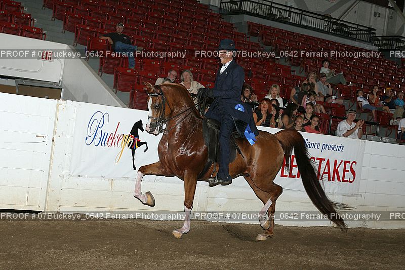 Proof Number 07Buckeye_0642