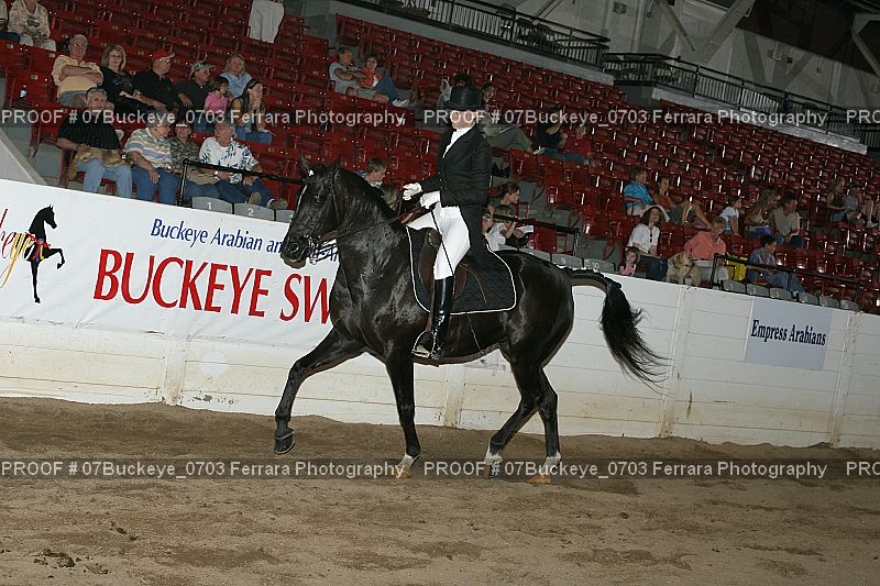 Proof Number 07Buckeye_0703