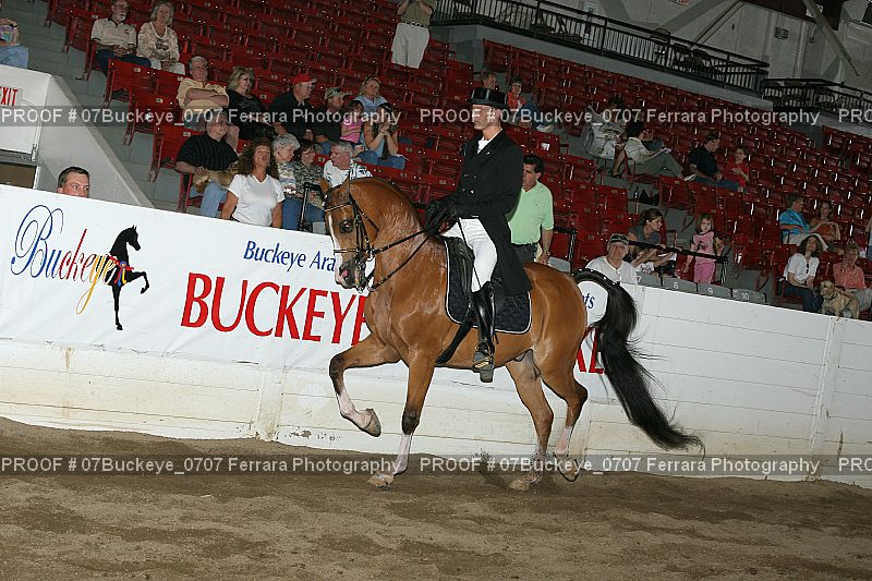 Proof Number 07Buckeye_0707