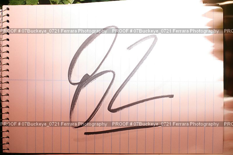 Proof Number 07Buckeye_0721