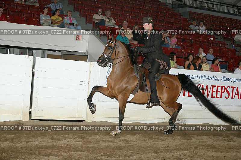 Proof Number 07Buckeye_0722