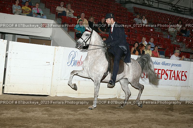 Proof Number 07Buckeye_0723