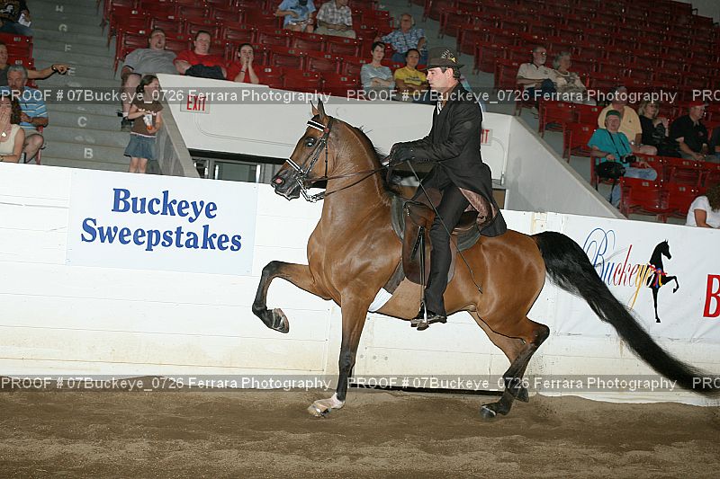 Proof Number 07Buckeye_0726