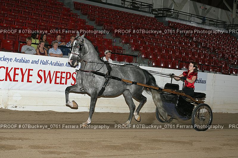 Proof Number 07Buckeye_0761