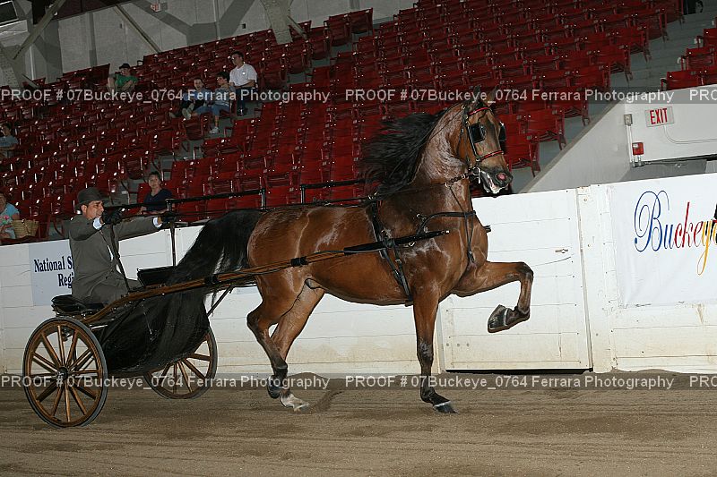 Proof Number 07Buckeye_0764