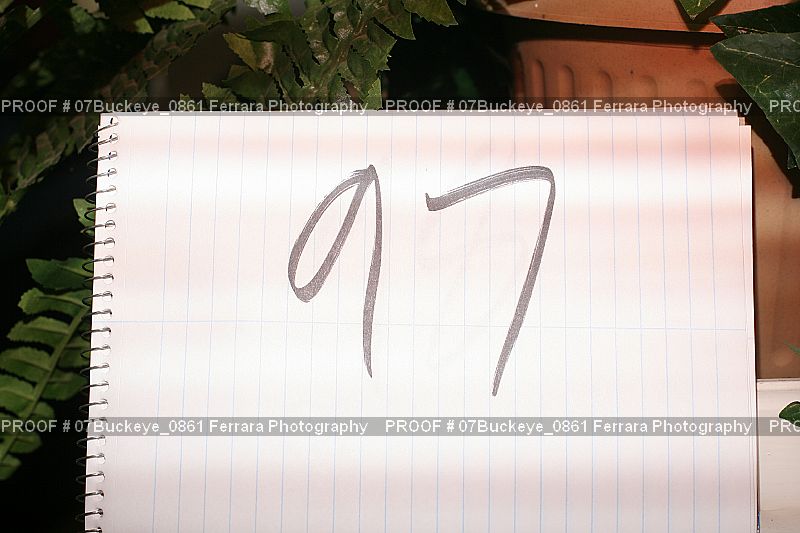 Proof Number 07Buckeye_0861
