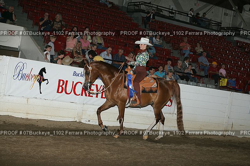 Proof Number 07Buckeye_1102