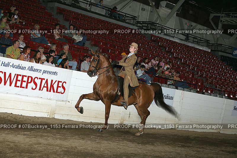 Proof Number 07Buckeye_1153