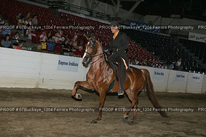 Proof Number 07Buckeye_1204