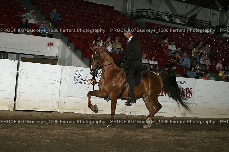Proof Number 07Buckeye_1206