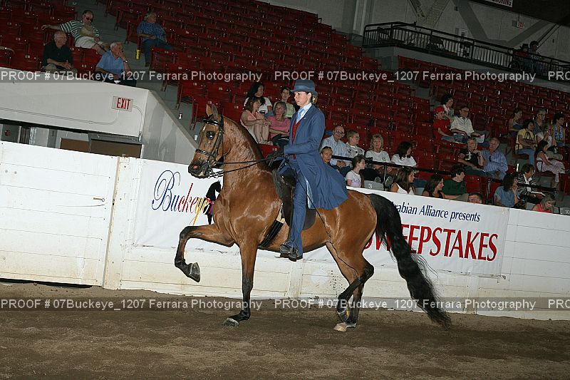 Proof Number 07Buckeye_1207