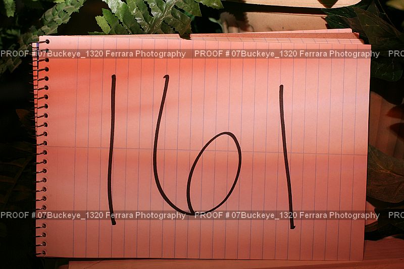 Proof Number 07Buckeye_1320
