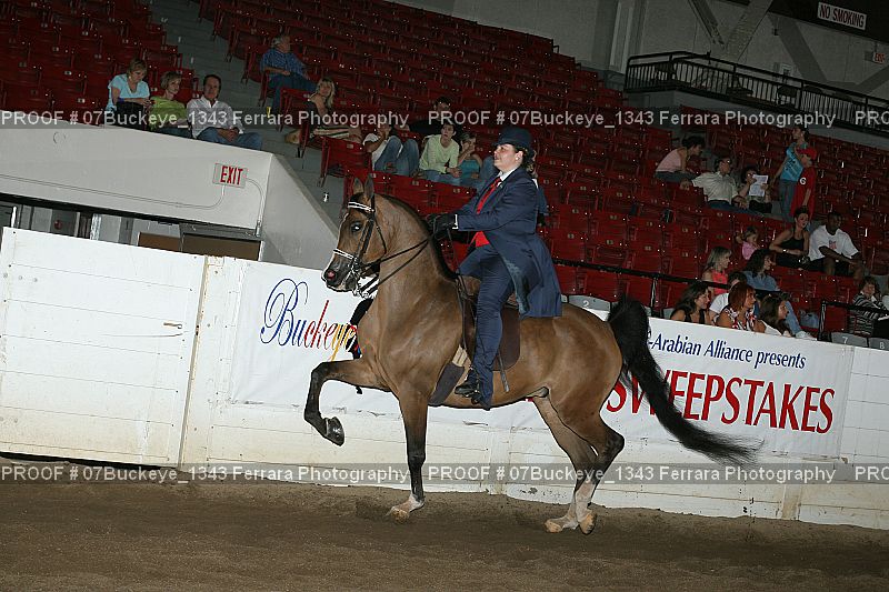 Proof Number 07Buckeye_1343