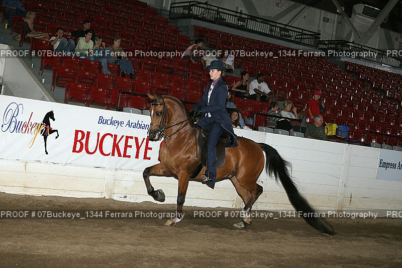 Proof Number 07Buckeye_1344