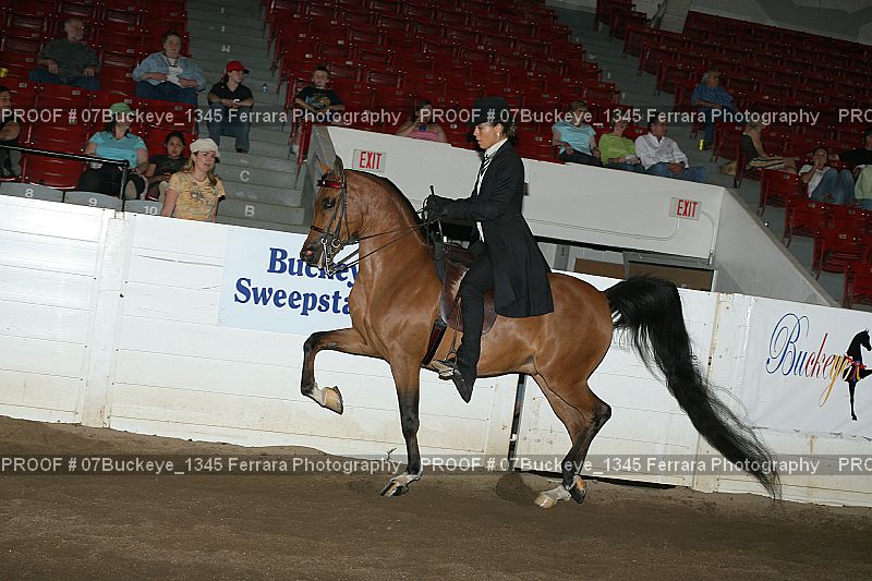 Proof Number 07Buckeye_1345