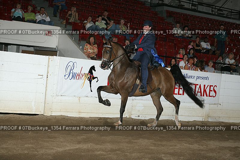 Proof Number 07Buckeye_1354