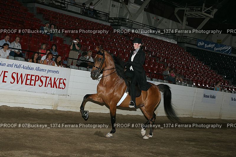 Proof Number 07Buckeye_1374