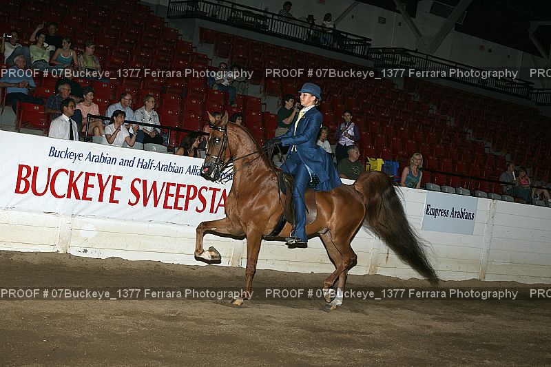 Proof Number 07Buckeye_1377