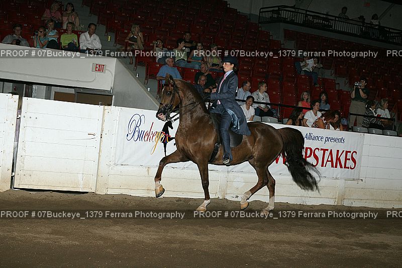 Proof Number 07Buckeye_1379