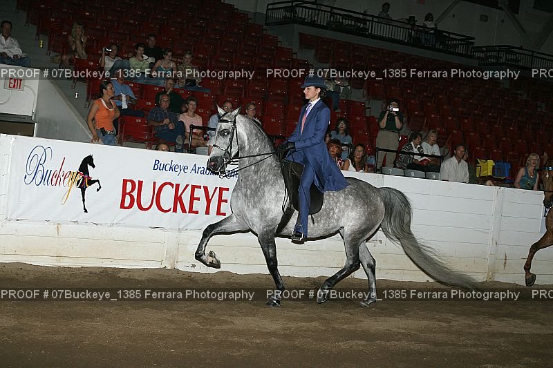 Proof Number 07Buckeye_1385