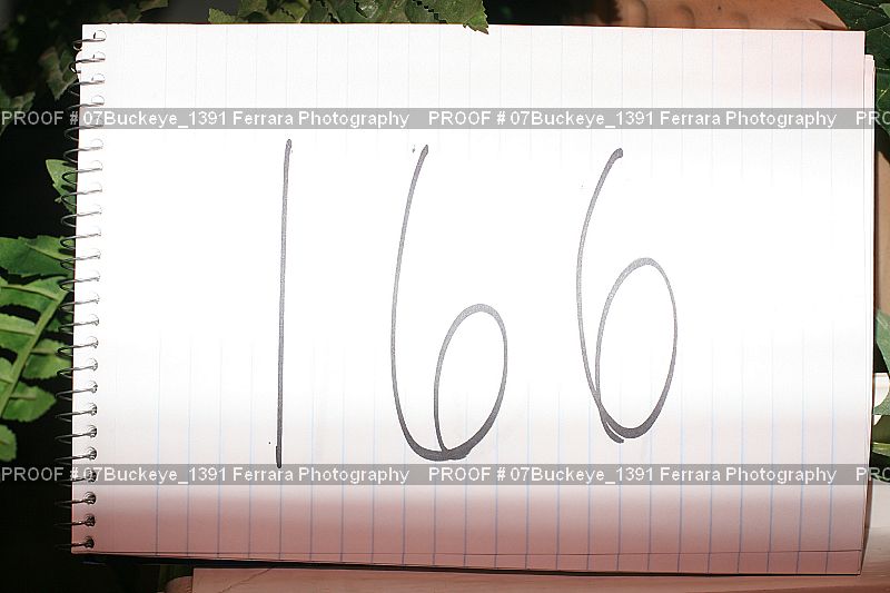 Proof Number 07Buckeye_1391