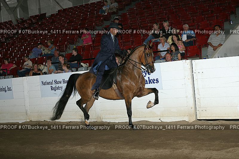 Proof Number 07Buckeye_1411