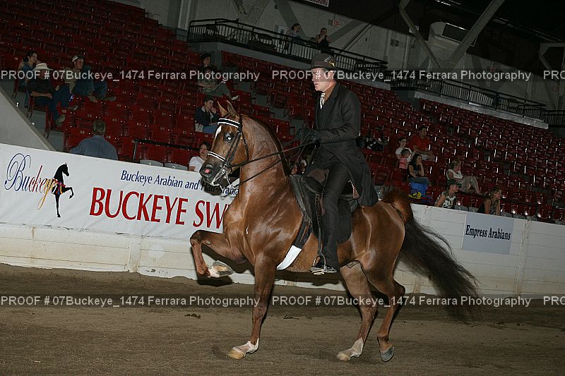 Proof Number 07Buckeye_1474