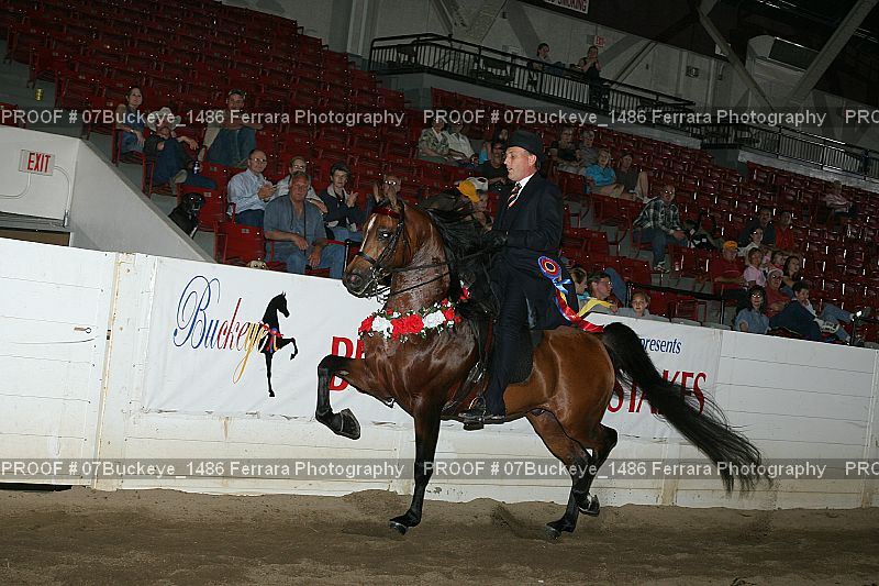 Proof Number 07Buckeye_1486