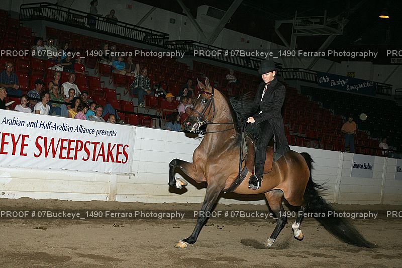 Proof Number 07Buckeye_1490