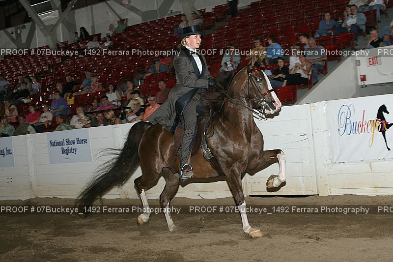 Proof Number 07Buckeye_1492