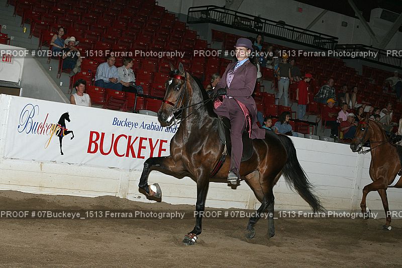 Proof Number 07Buckeye_1513